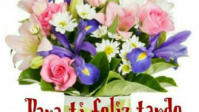 Photo of Buenas Tardes Con Rosas Para Whatsapp Celular
