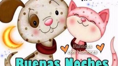 Photo of Frases Lindas De Buenas Noches Amor Para Whatsapp