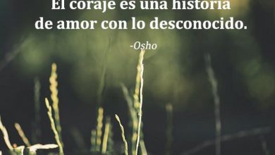 Photo of El Coraje Es Una Historia De Amor Con Lo Desconocido frases bonitas