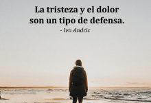 Photo of La Tristeza Y El Dolor Son Un Tipo De Defensa frases bonitas