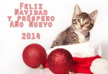 Photo of Mensajes De Navidad