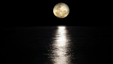 Photo of fotos de luna llena