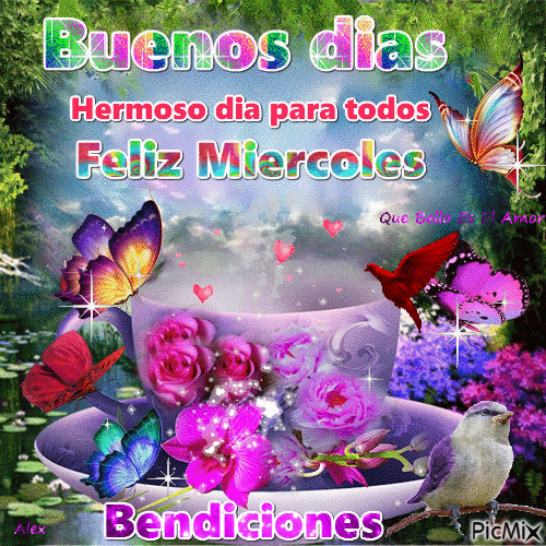 Photo of Feliz Miercoles Con Flores Hermosas para celular