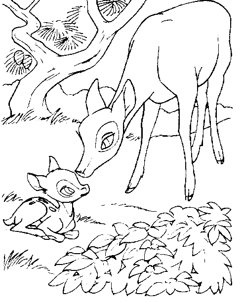 Photo of Dibujos Para Colorear Bambi Con Su Mama