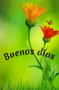 Amor De Buenos Dias Para Descargar