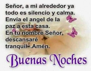 Bellas Frases De Buenas Noches Para Whatsapp