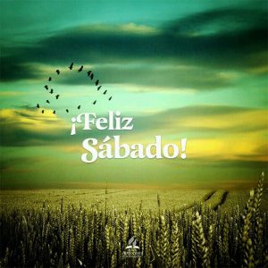 Bom Sabado Frases Para Whatsapp