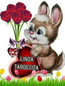 Bonita tarde amor para WhatsApp celular