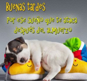 Bonita Tarde Frases Para Whatsapp Celular