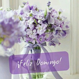Bonito Domingo Amor Para Whatsapp