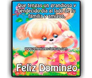 Bonito Domingo Frases Para Celular