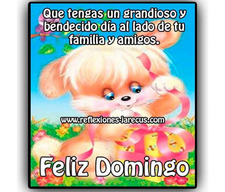 Bonito Domingo Frases Para Celular