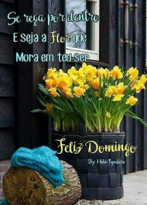 Bonito Domingo Frases Para Whatsapp