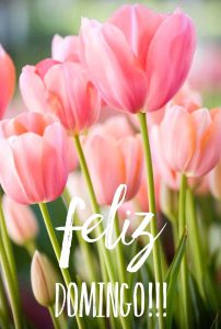 Buen Domingo Amor Para Celular