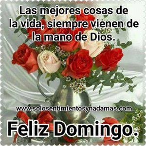 Buen Domingo Familia Para Whatsapp