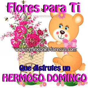 Buen Domingo Frases Para Celular