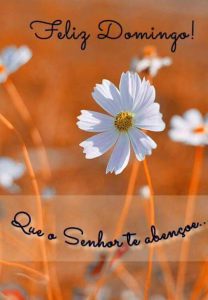 Buen Domingo Imagenes Para Celular