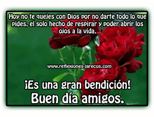 Buen Domingo Para Todos Para Celular