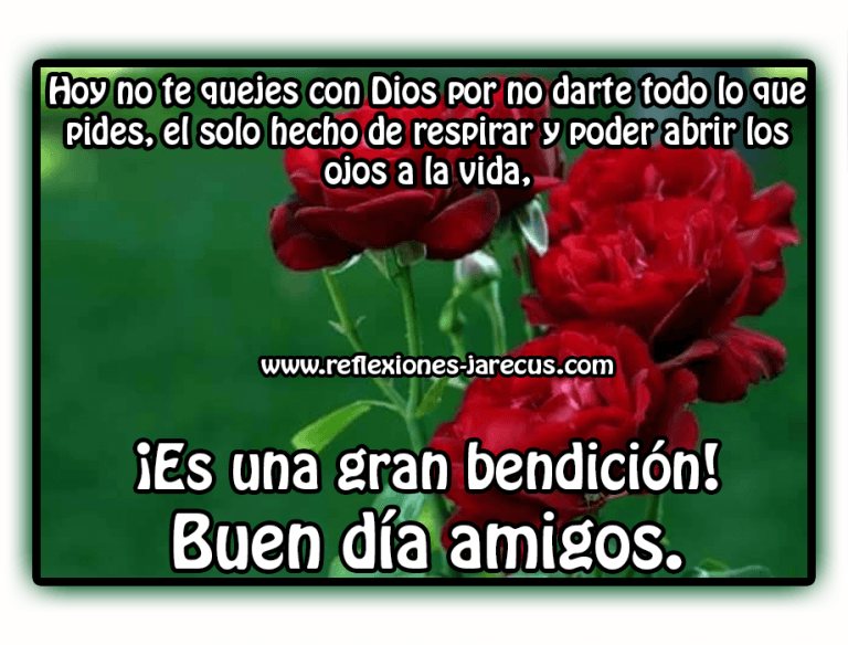 Buen Domingo Para Todos Para Celular