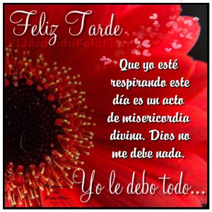 Buena Tarde Mi Amor Para Whatsapp Celular