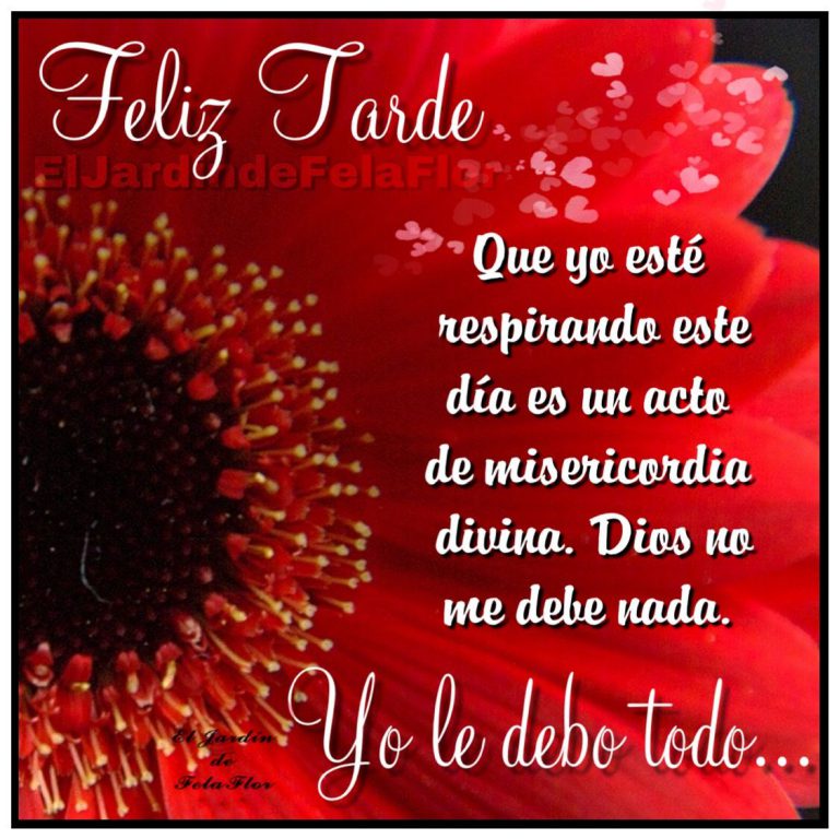 Buena Tarde Mi Amor Para Whatsapp Celular