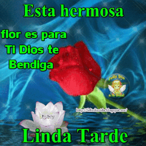 Buena tarde o buenas tardes gif animadas