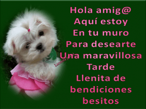 Buena Tarde O Buenas Tardes Para Whatsapp Celular