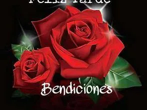 Photo of Buena tarde