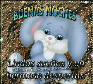 Buenas Noches A Mi Novio Para Whatsapp