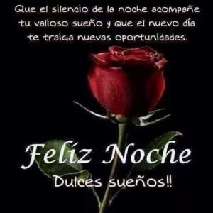 Buenas Noches Amor Frases Cortas Para Celular