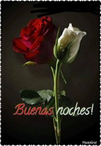 Buenas Noches Amor Mi Vida Para Celular