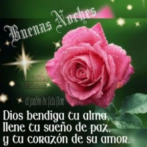 Buenas Noches Amor Para Celular