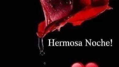 Photo of Buenas Noches Con Dibujos