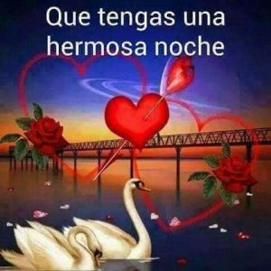 Buenas Noches Frases Cortas Para Whatsapp