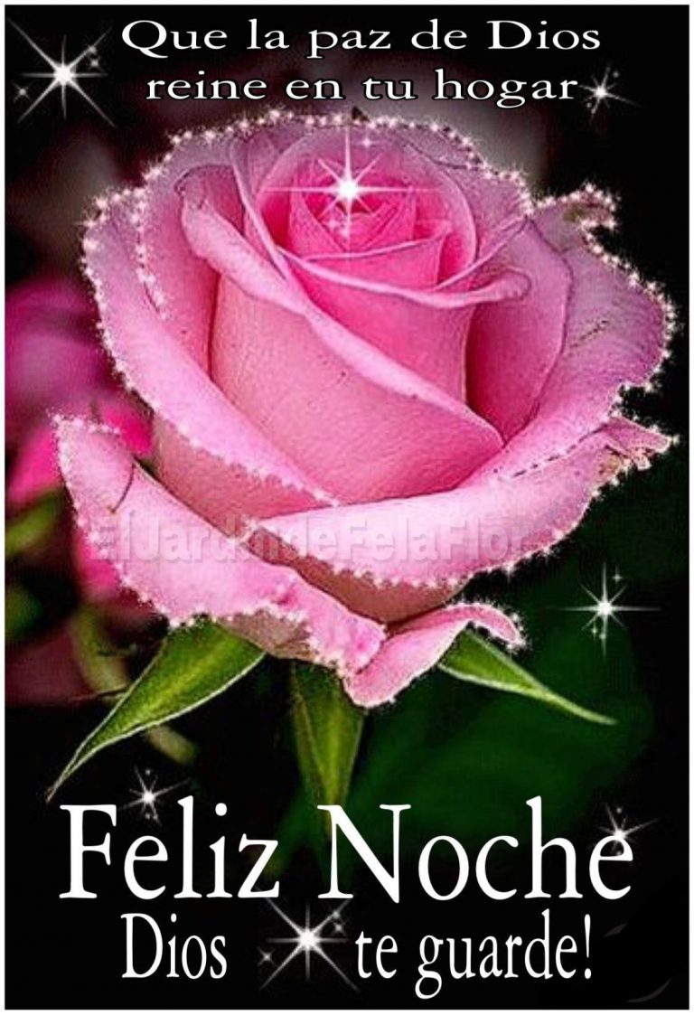 Buenas Noches Frases Lindas Para Celular