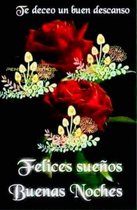 Buenas Noches Frases Lindas Para Descargar Gratis