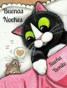 Buenas Noches Frases Lindas Para Whatsapp