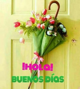 Buenas noches frases para WhatsApp