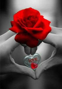 Buenas Noches Hermosa Mujer Para Descargar Gratis