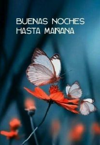 Buenas Noches Imagenes Bonitas Para Facebook