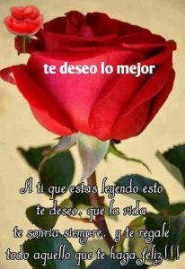 Buenas Noches Mi Amor Buenas Noches Vida Mia Para Celular