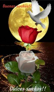 Buenas Noches Mi Amor Buenas Noches Vida Mia Para Facebook