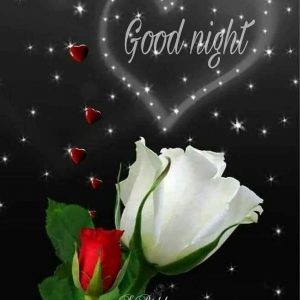 Buenas Noches Mi Amor Para Descargar Gratis