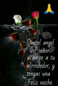 Buenas Noches Mi Principe