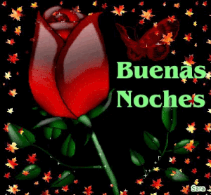 Buenas noches novia para descargar gratis