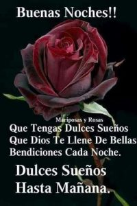 Buenas Noches Novia Para Whatsapp