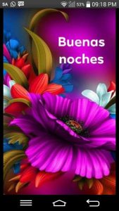 Buenas Noches Princesa