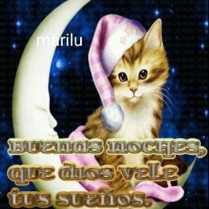 Buenas Noches Que Para Whatsapp