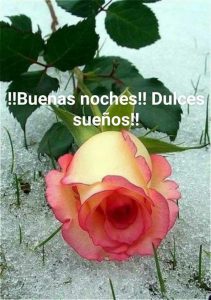 Buenas Noches Te Quiero Mucho Para Whatsapp