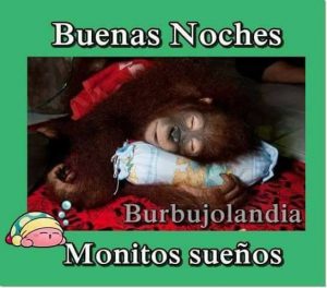 Buenas Noches Tiernas